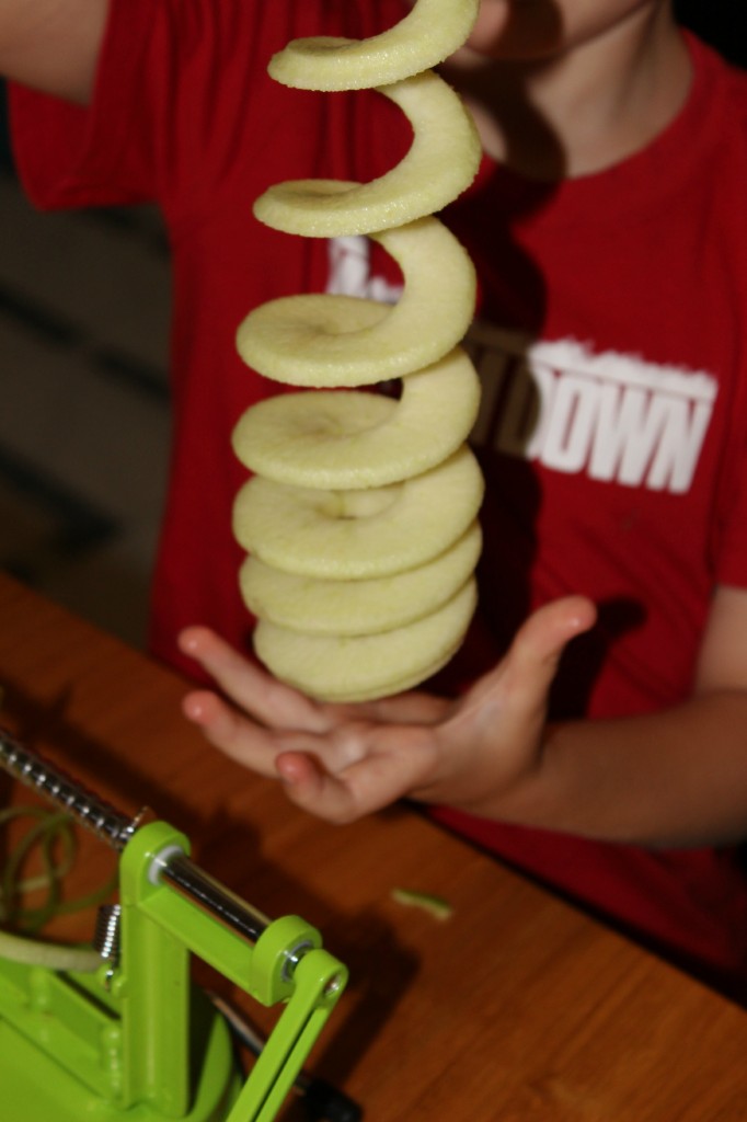 homemade-baked-cinnamon-apple-chips