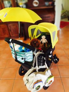 Thermo Insulated Pram and Stroller Organiser 