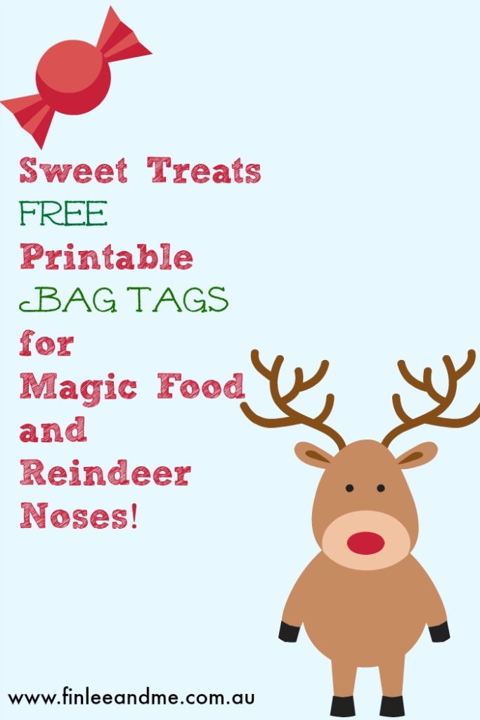 Christmas Fun with Finlee and Me: Make Sweet Memories with Rudolph Noses and Reindeer Food Bags