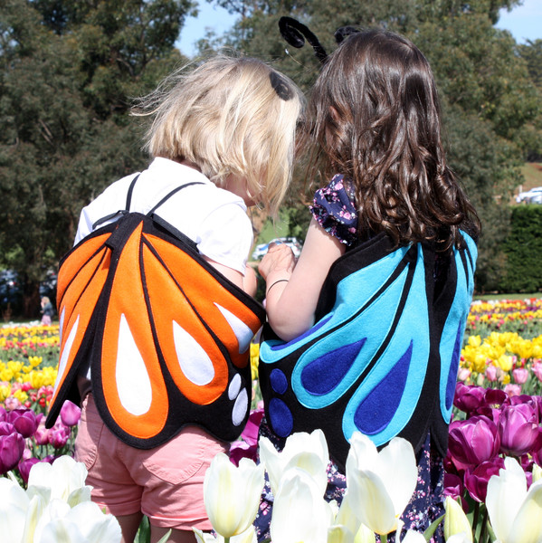 Kids Costumes Butterfly Costume Blue Ulysses and Orange Monarch