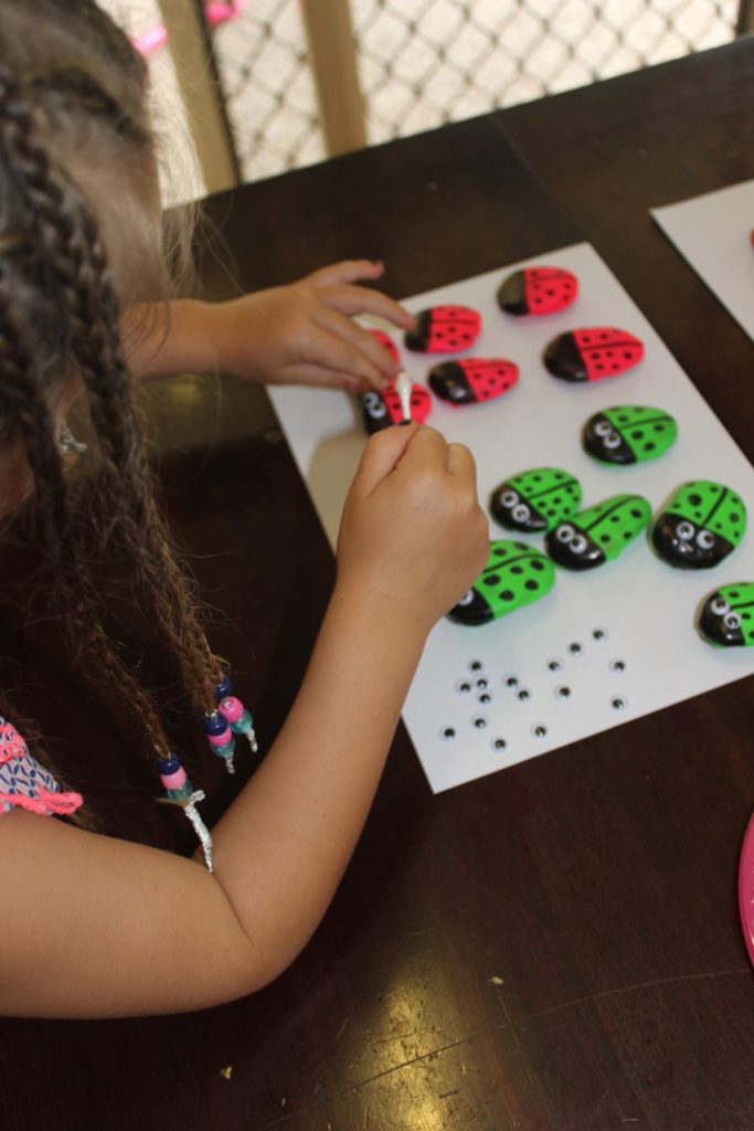 painted rocks craft 