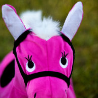 zooba-fitballs-for-kids-pony