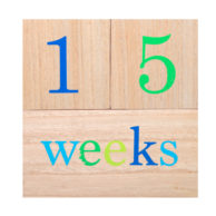 wooden-milestone-blocks-weeks
