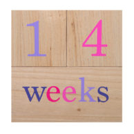 wooden-milestone-blocks-weeks