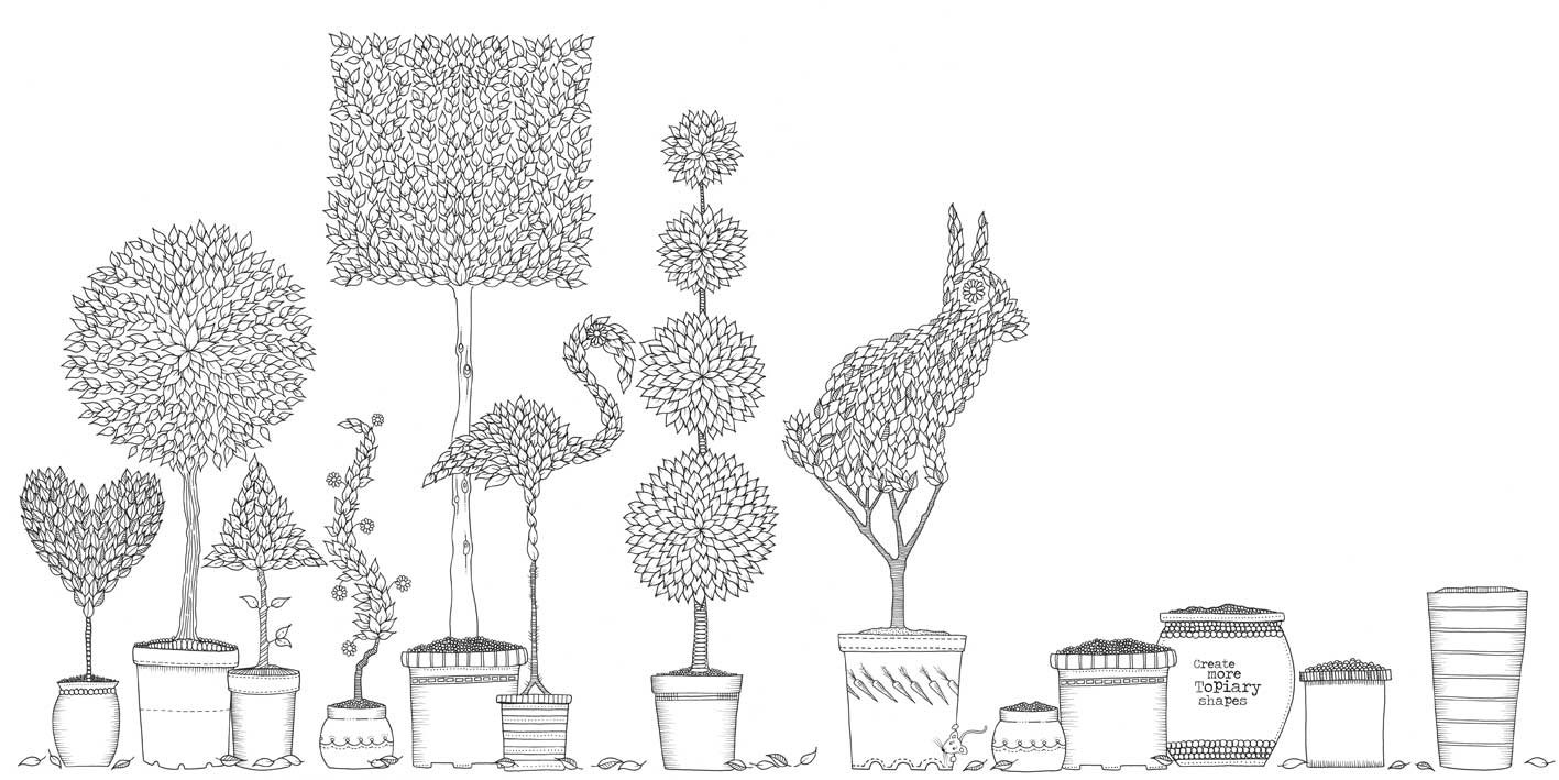 Secret Garden Colouring Book For Adults
