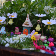 spotted-house-fairy-garden-kit