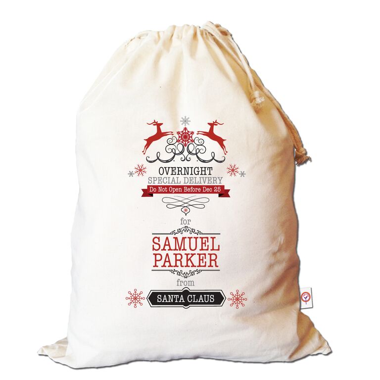 overnight-special-delivery-santa-sack