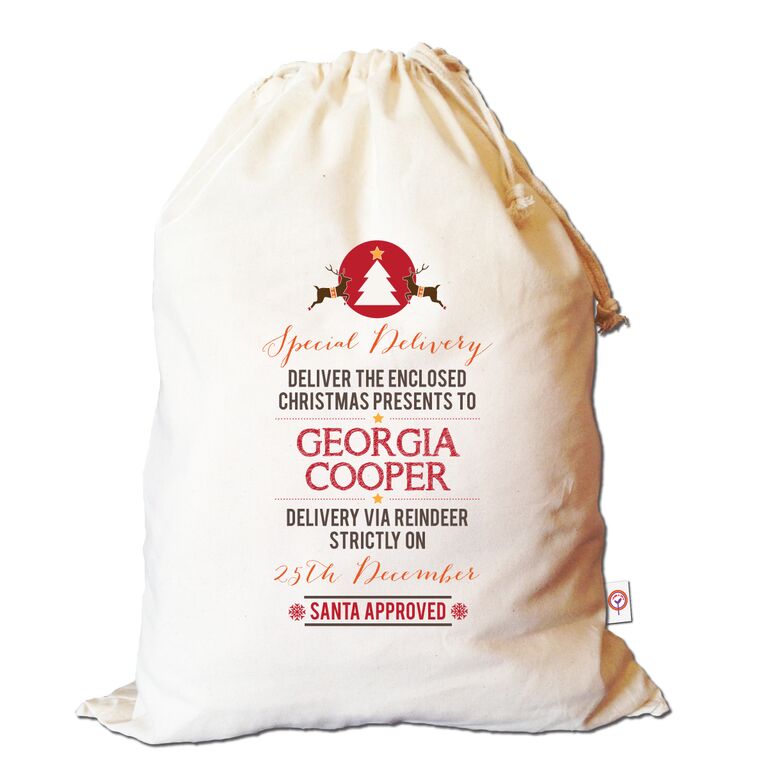 special-delivery-santa-sack