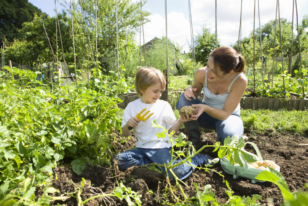 reasons to start a garden with your kids