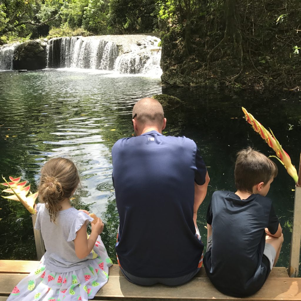 Evergreen Cascades Waterfall