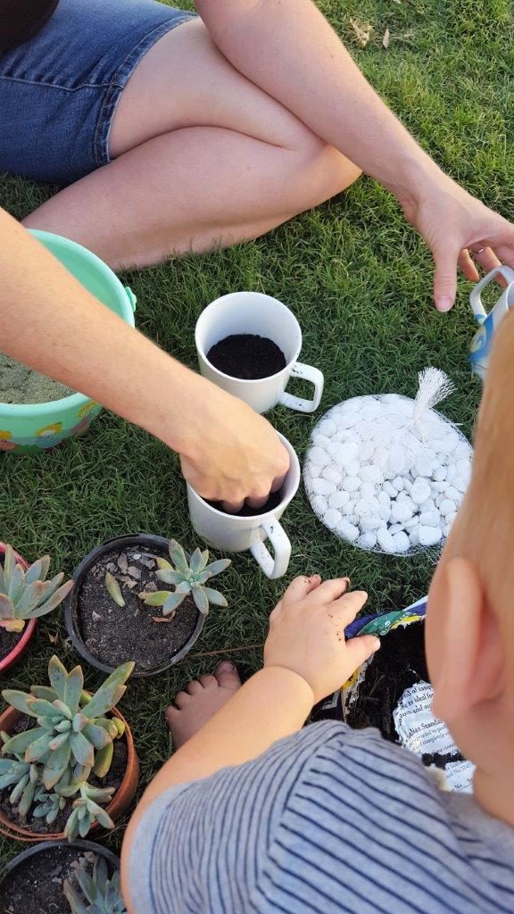 DIY Marbled Mugs with Succulents