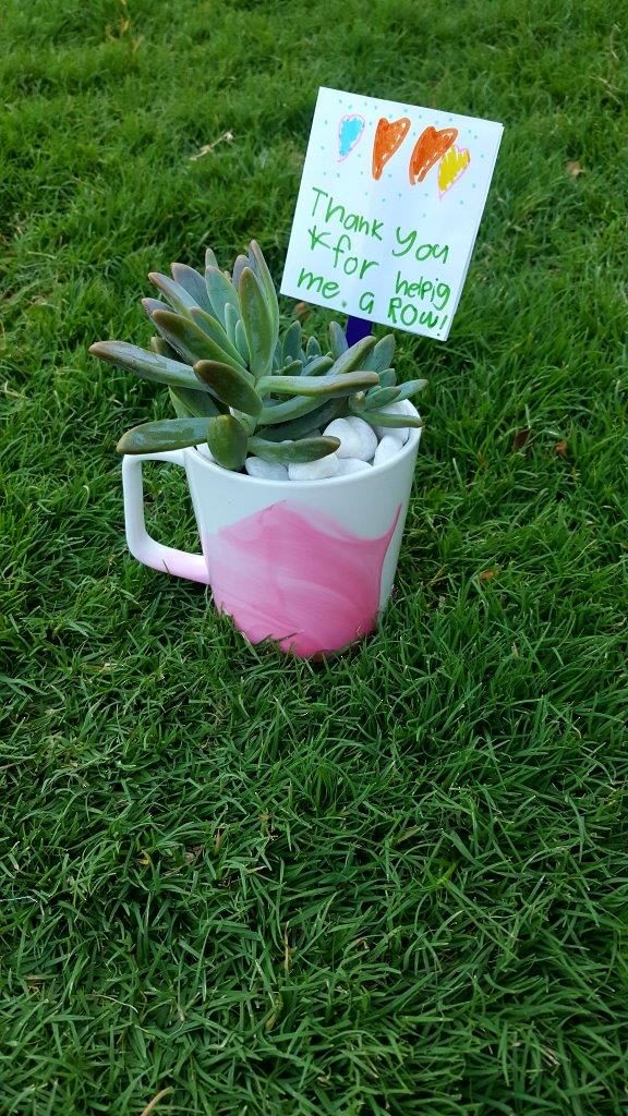 DIY Marbled Mugs with Succulents